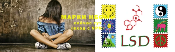 индика Куйбышев
