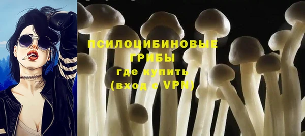 индика Куйбышев