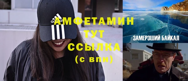 индика Куйбышев