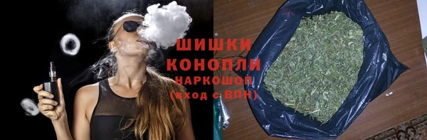 индика Куйбышев