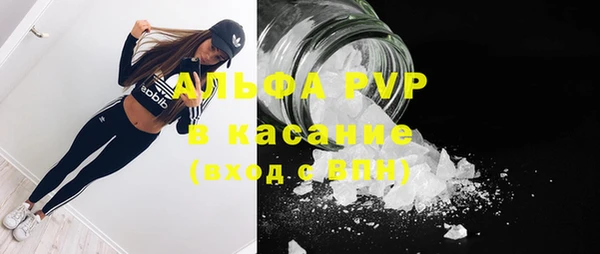 индика Куйбышев
