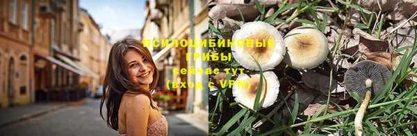 а пвп мука Кукмор