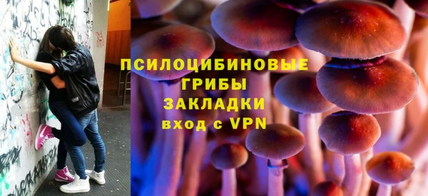 а пвп мука Кукмор