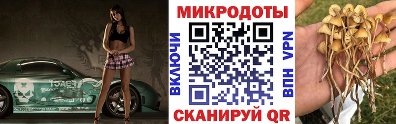 Купить  Ревда  Галлюциногенные грибы MAGIC MUSHROOMS 